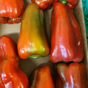 Peperoni colorati / misti